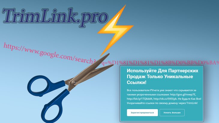 Профессиональный сервис сокращения ссылок TrimLink.pro: раскрываю все фишки и секреты, отзыв