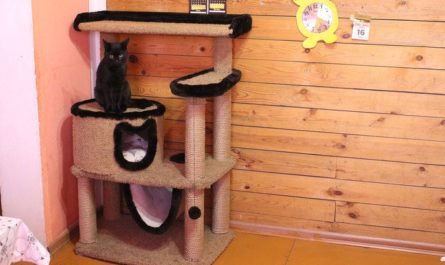 Делаем домик для кота с когтеточкой, своими руками — пошаговая инструкция